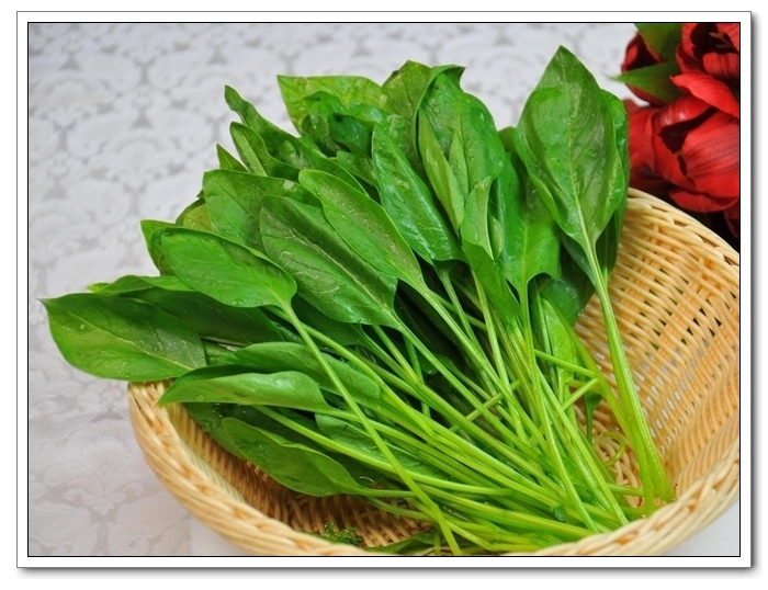 菠菜