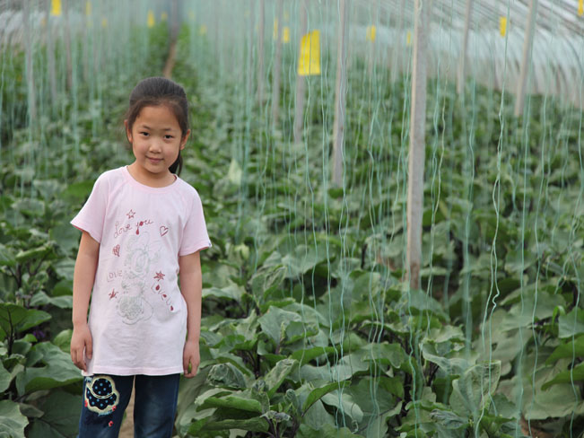 自然果农庄基地
