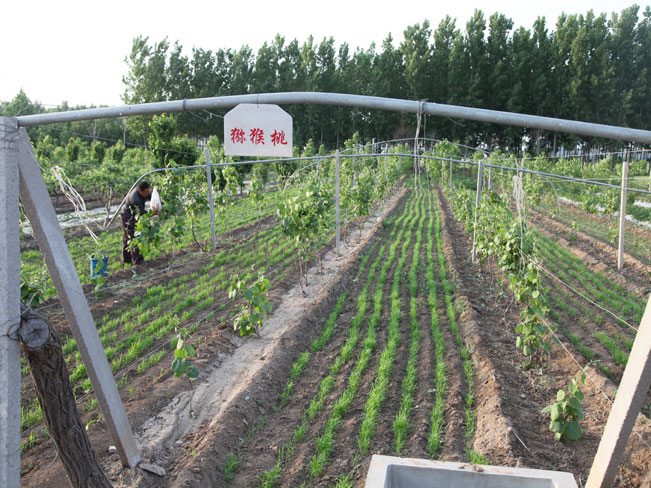 自然果农庄基地