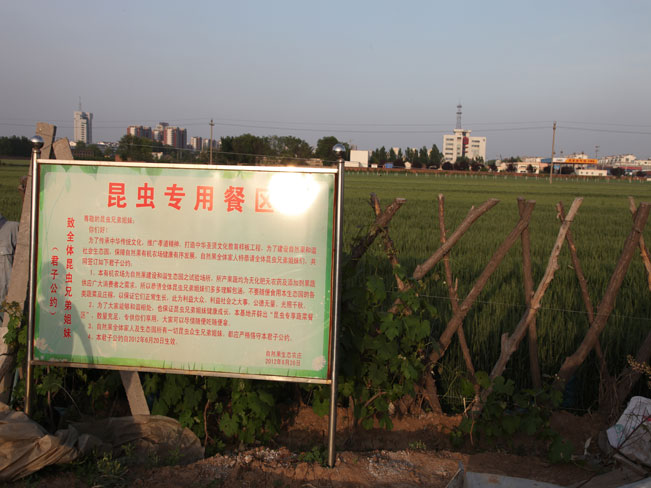 自然果农庄基地