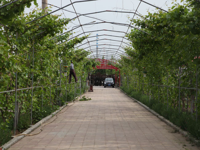 自然果农庄基地