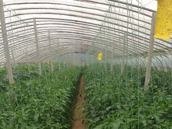 自然果农庄基地